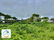 Terrain à SAINT-PIERRE