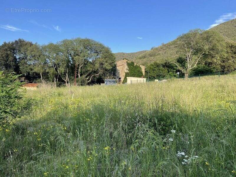 Terrain à ARLES-SUR-TECH