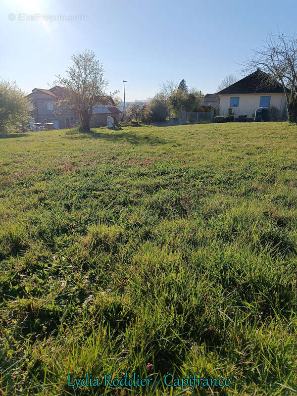 Terrain à vendre - RARE sur PUY GUILLAUME (63290) - photo 3