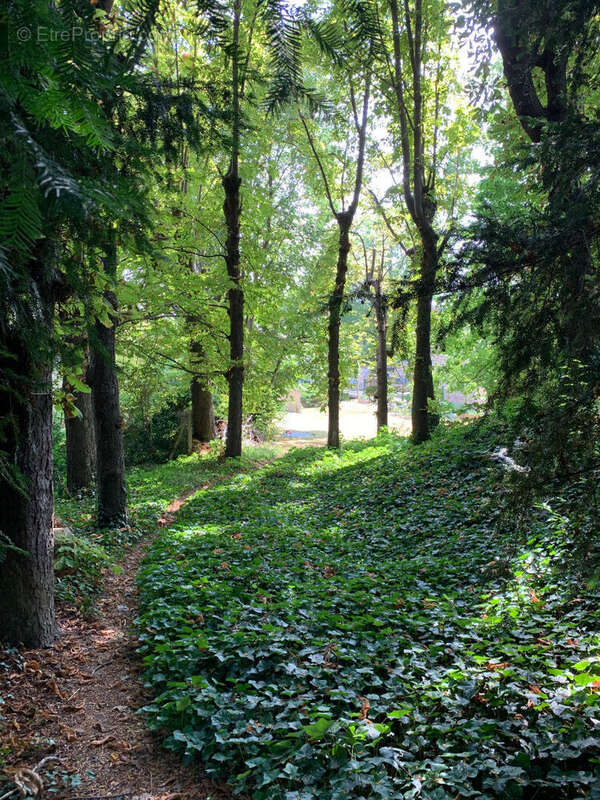 Appartement à SAINT-GERMAIN-EN-LAYE
