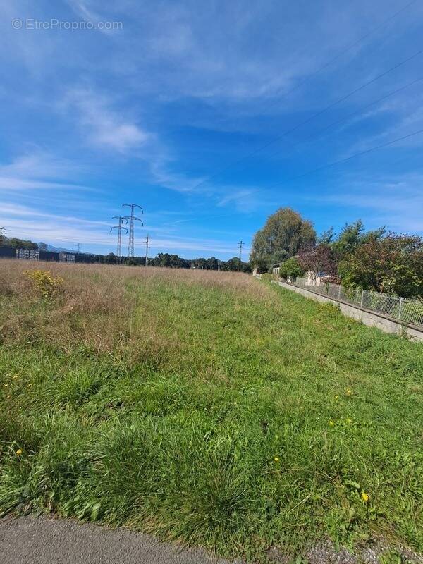 Terrain à LANNEMEZAN