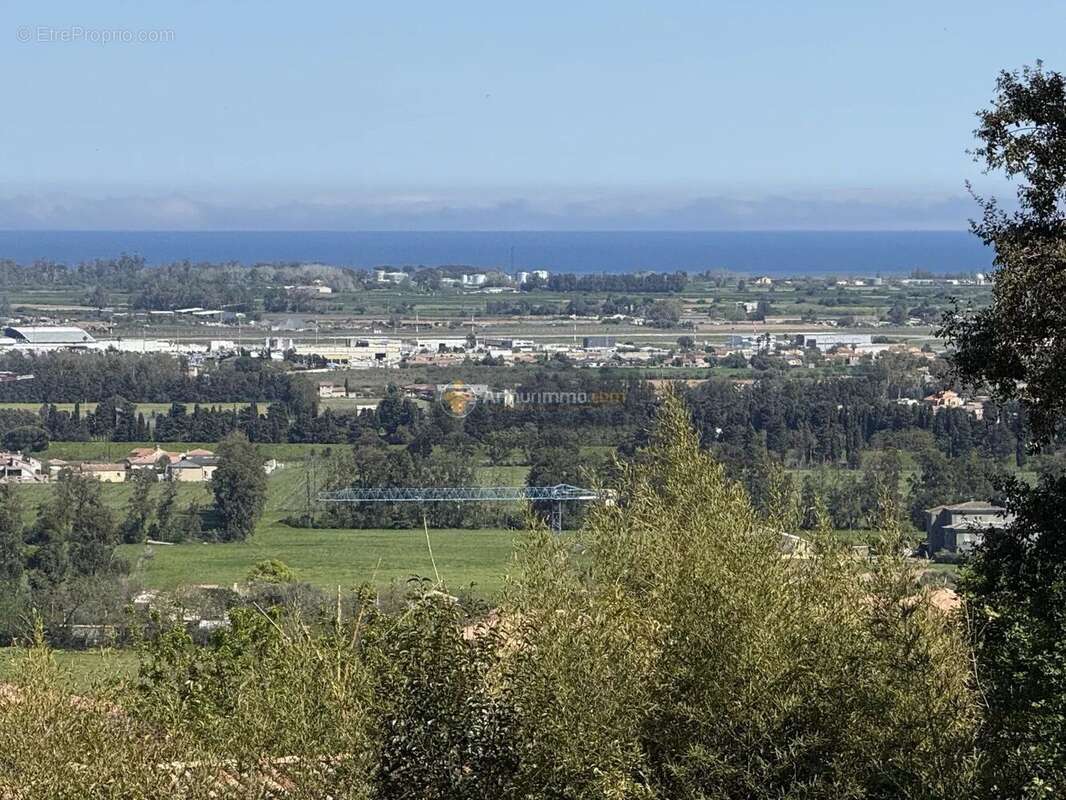 Terrain à LUCCIANA