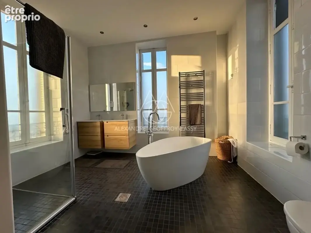 Maison à vendre 11 pièces  a 305 min de Limoges. Venez avec votre brosse à dents - photo 21