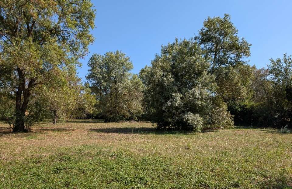 Terrain à CHATEAUNEUF-GRASSE