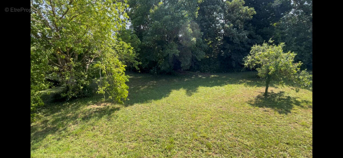 BINIC Terrain vue sur mer à vendre de 1 450 M2 environ hors lotissement - photo 2