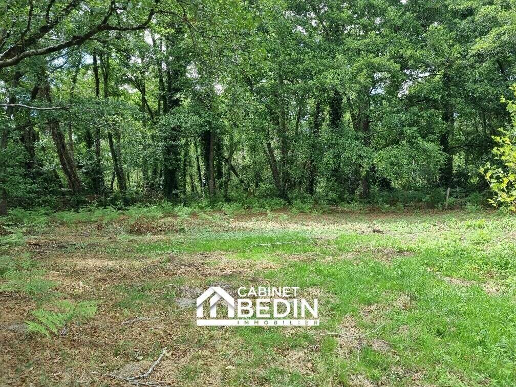 Maison à SAINT-PAUL-EN-BORN