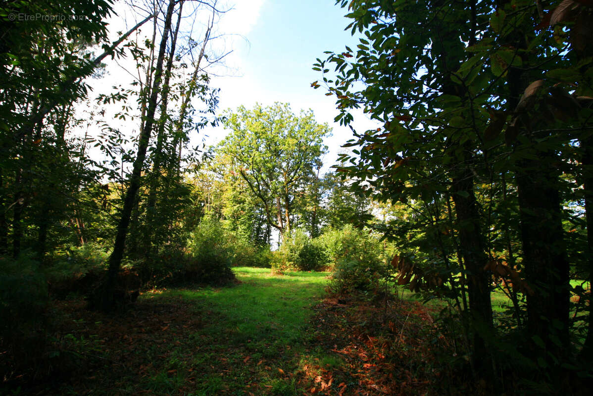Superbe terrain constructible - photo 2