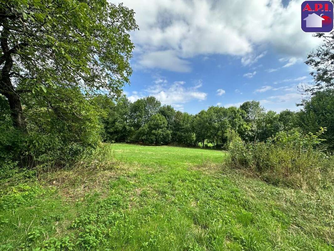 Terrain à LA BASTIDE-DE-SEROU