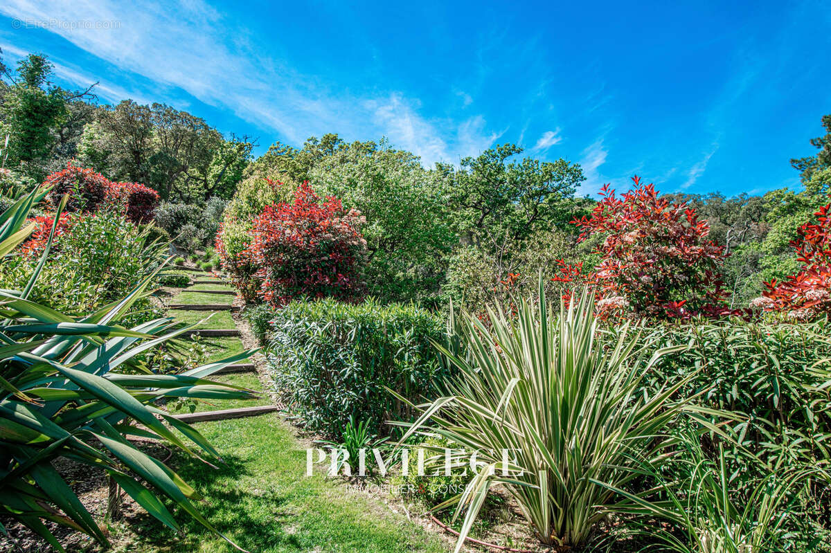 Maison à RAMATUELLE