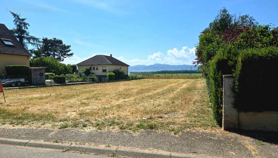 Terrain 500 m² à Sundhoffen  - photo 3