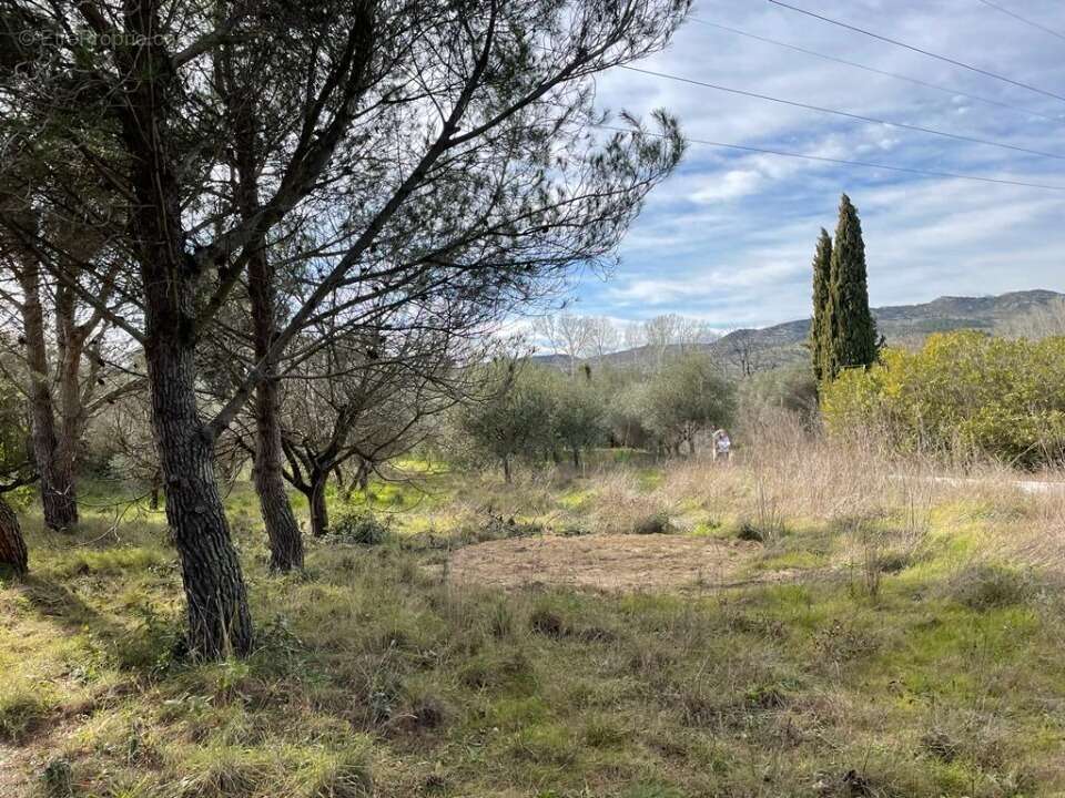 Terrain 400 m² à Eyguieres  - photo 6