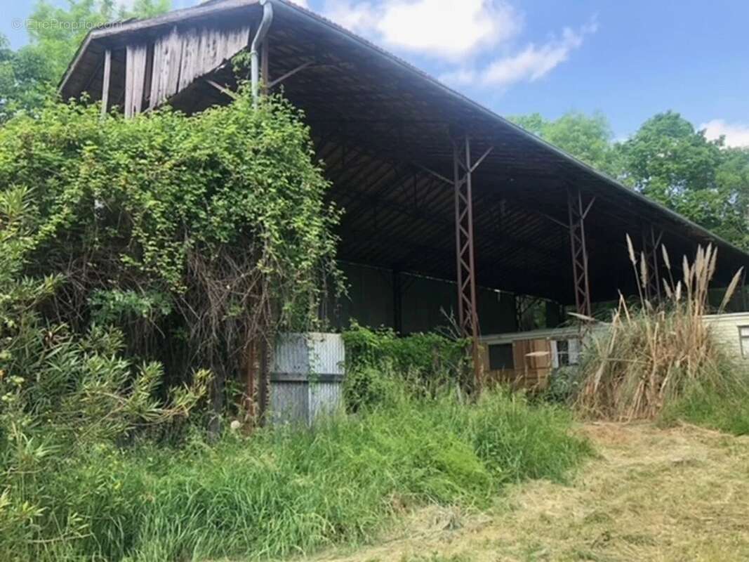 Propriété 3,55 hectares - photo 13