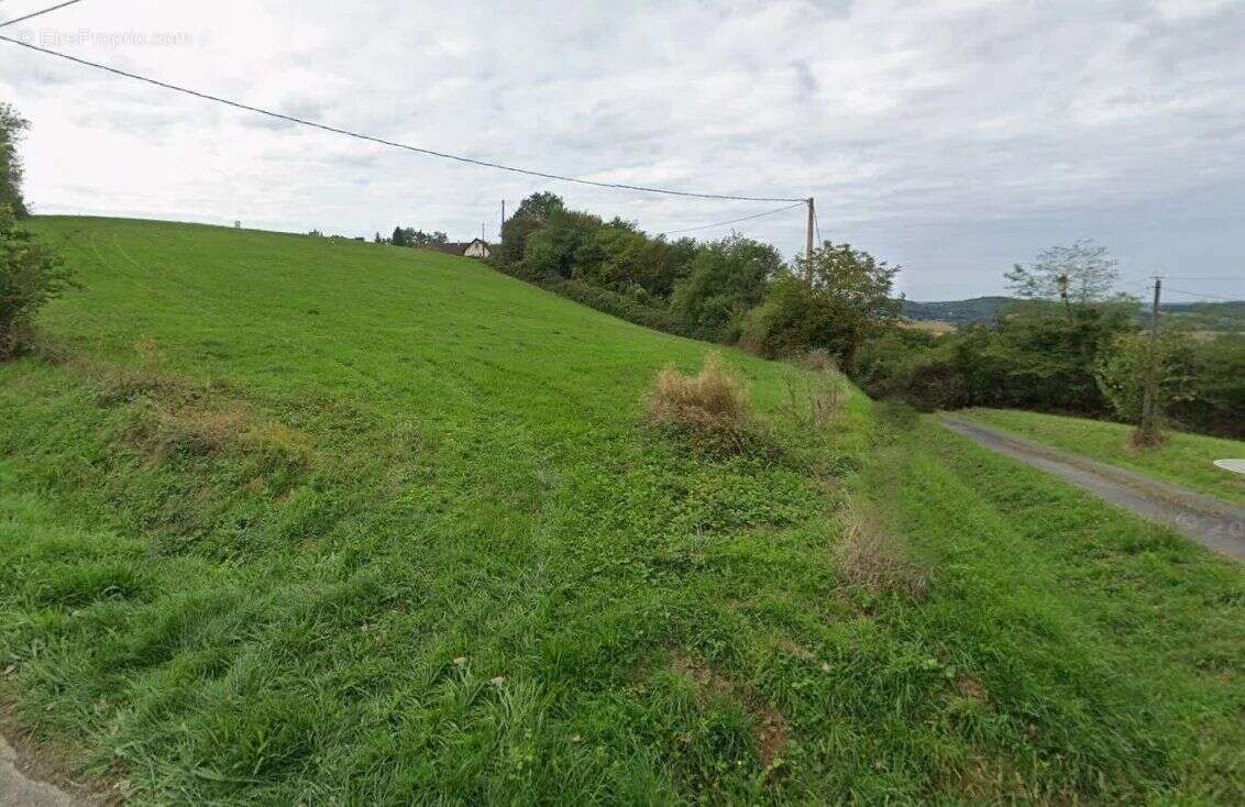 Terrain à VILLECOMTAL-SUR-ARROS