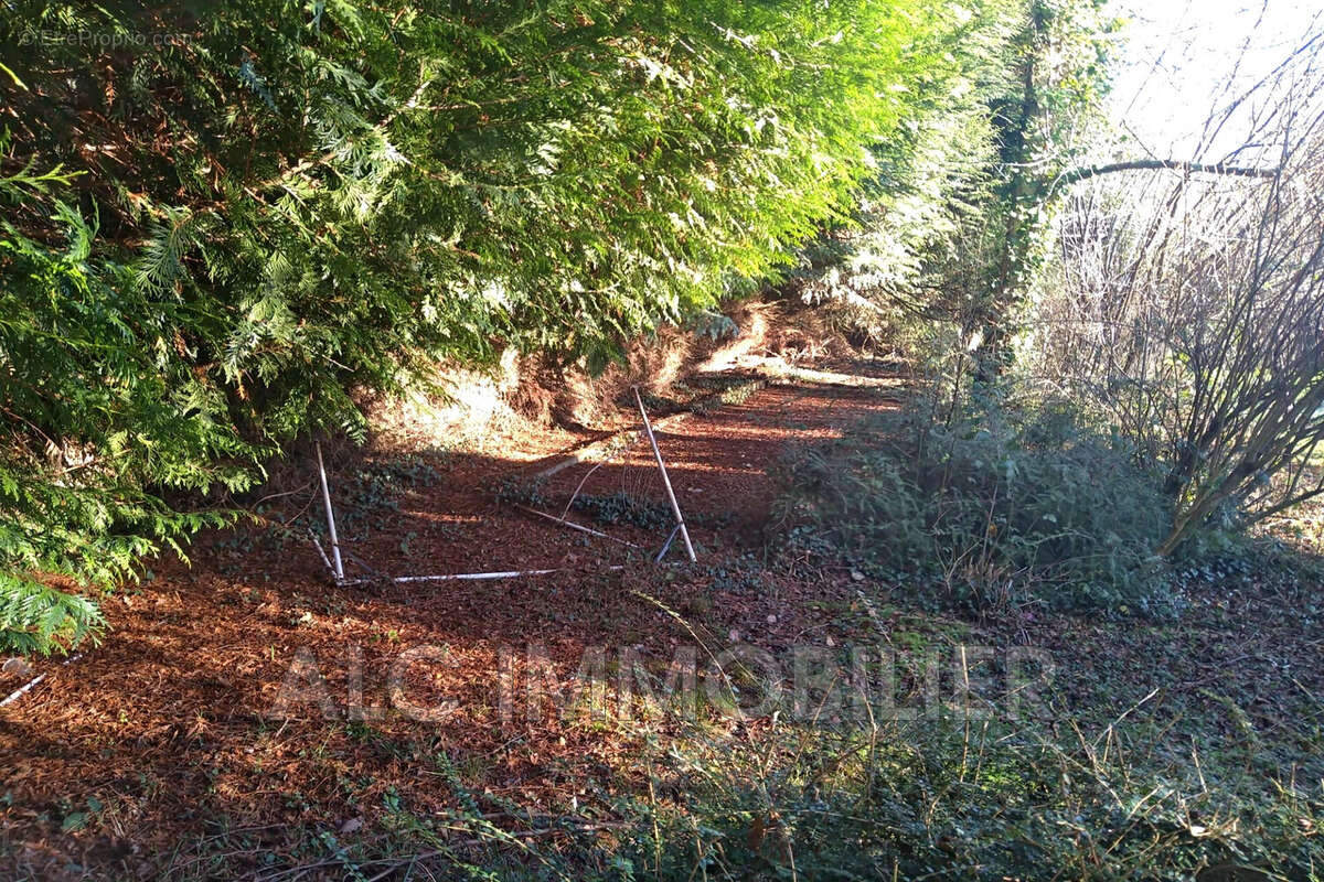 Terrain à SAINT-LEONARD-DES-BOIS