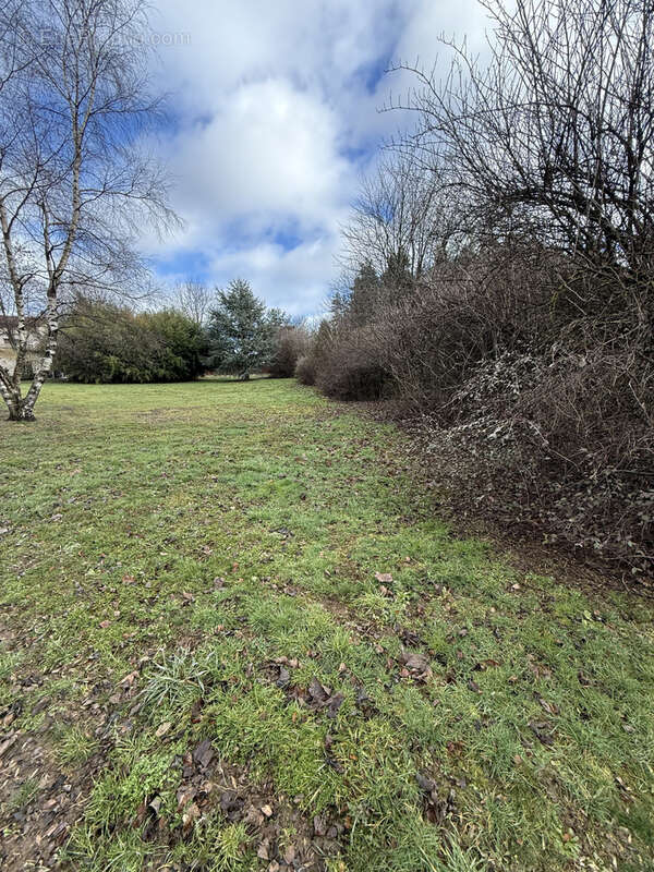 Terrain à SAINT-PAL-DE-MONS