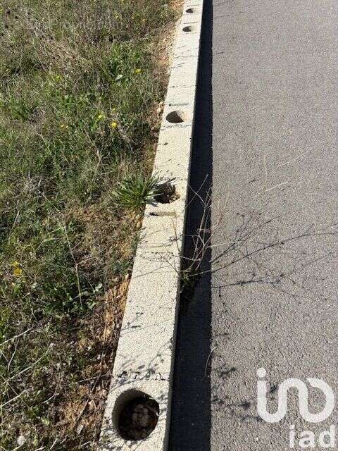 Photo 4 - Terrain à ARPAILLARGUES-ET-AUREILLAC