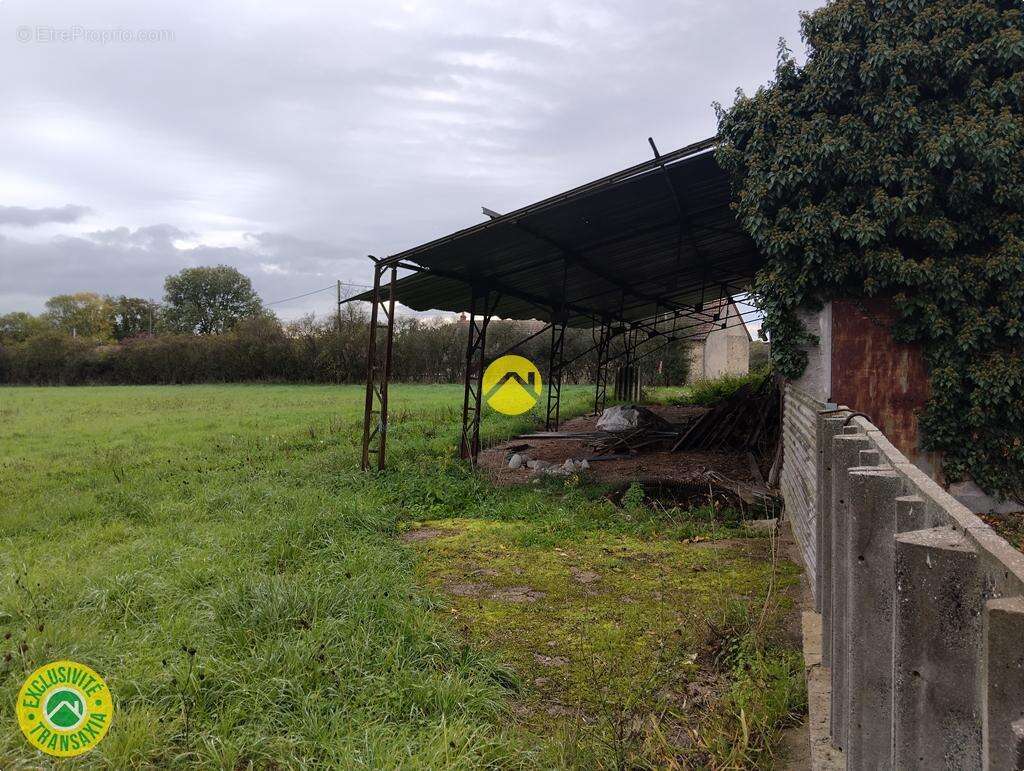 Commerce à LURCY-LEVIS