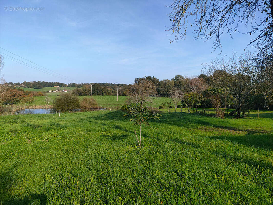 Maison à LANOUAILLE