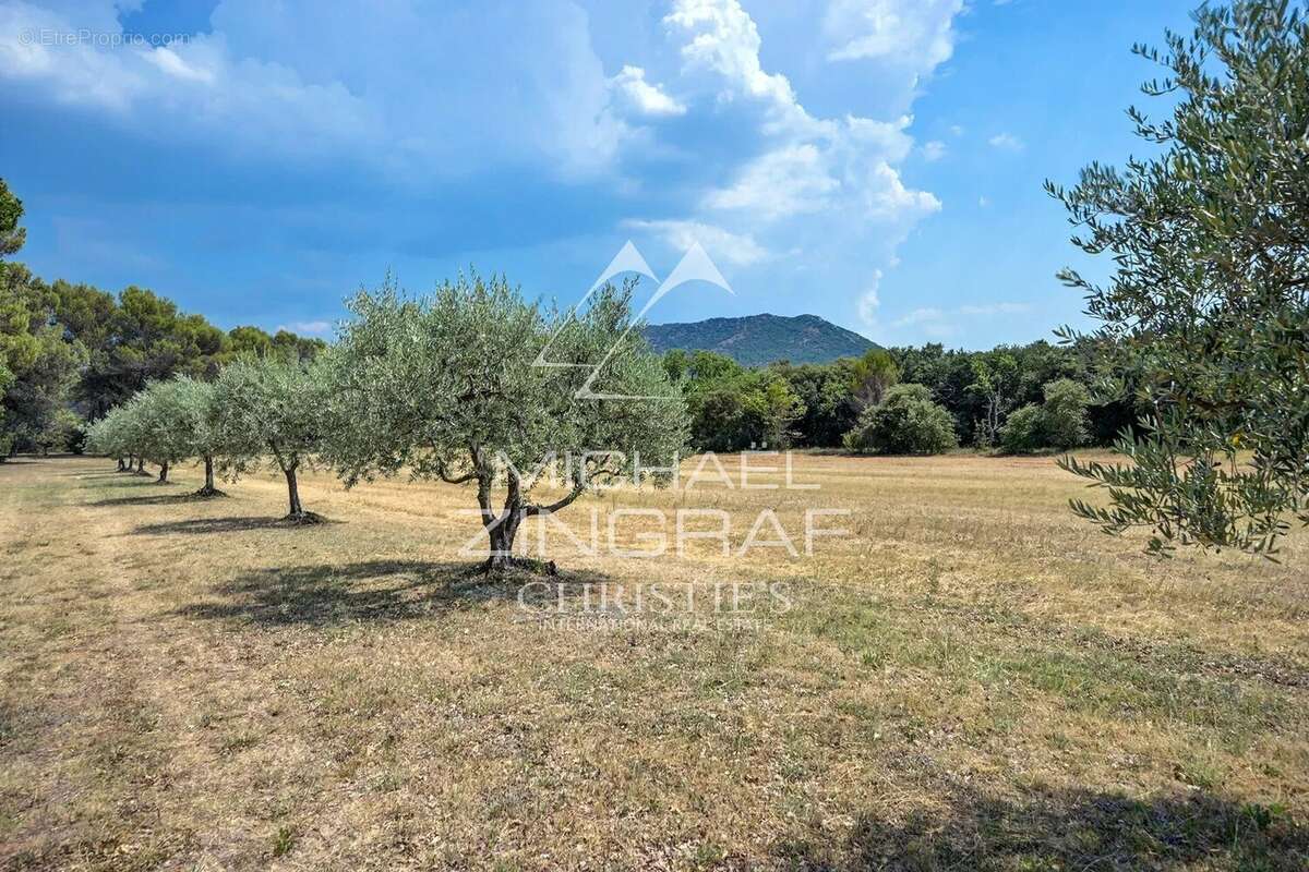 À 30 minutes d'Aix-en-Provence – Authentique bastide du XIXᵉ siècle au cœur d'un domaine de plus de 5 hectares - photo 3