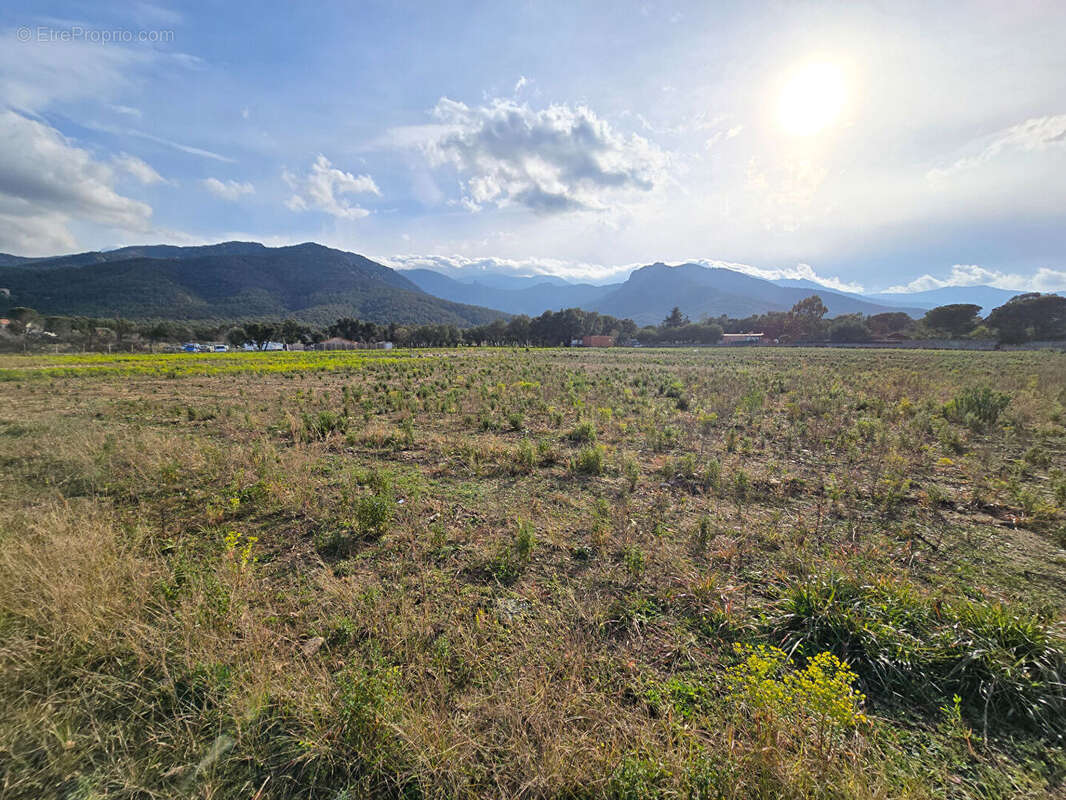 Terrain Argeles Sur Mer 44784 m2 - photo 7