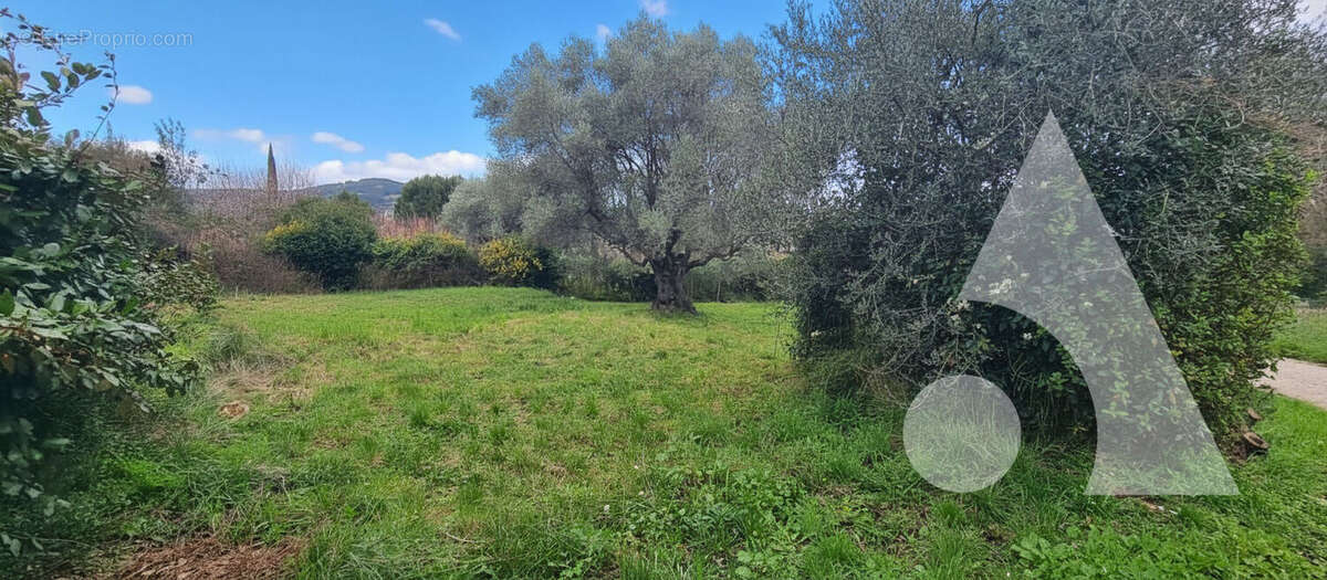 Terrain à LE CASTELLET