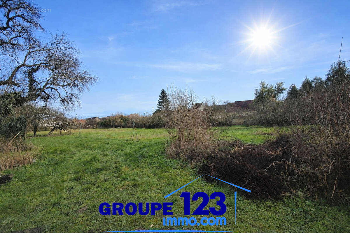 Maison avec près de 6 000 m2 de terrain   Un fort potentiel à révéler - photo 14