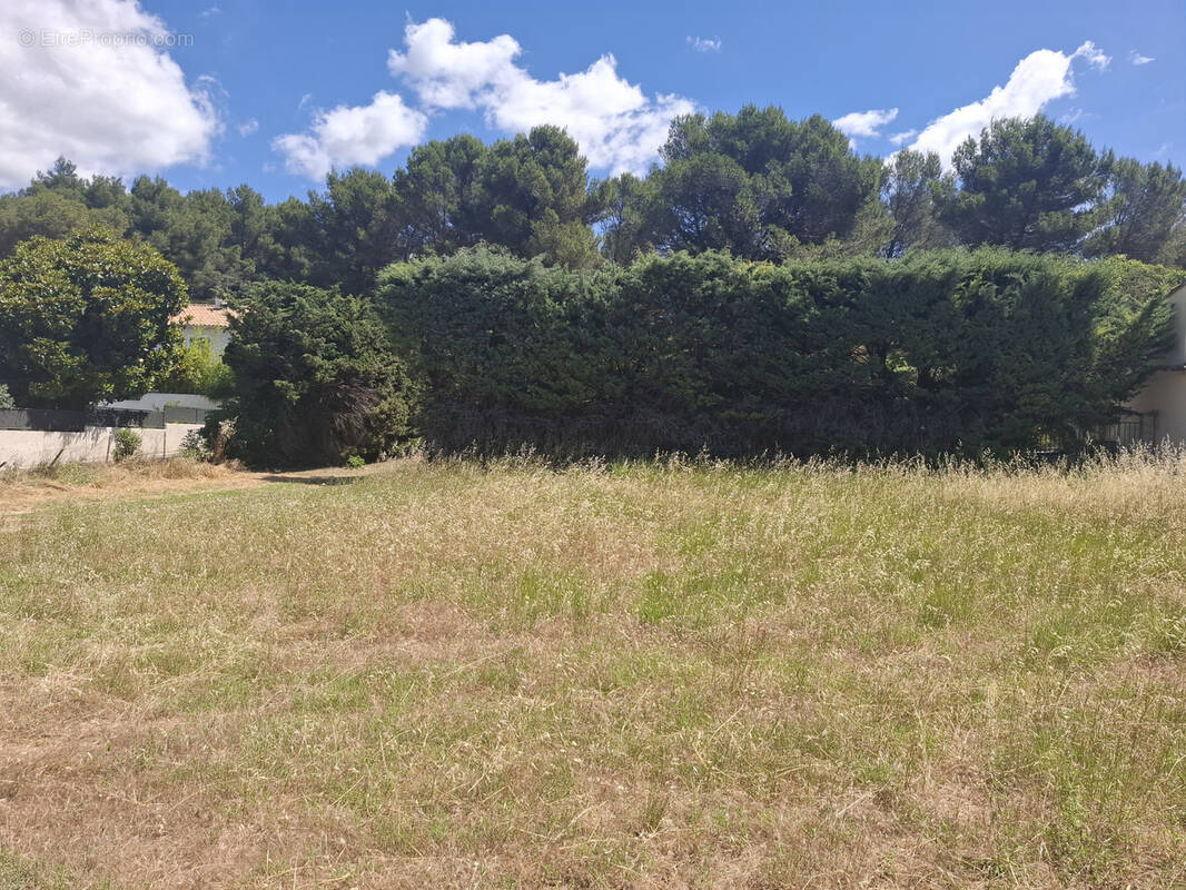 Terrain à FONTVIEILLE