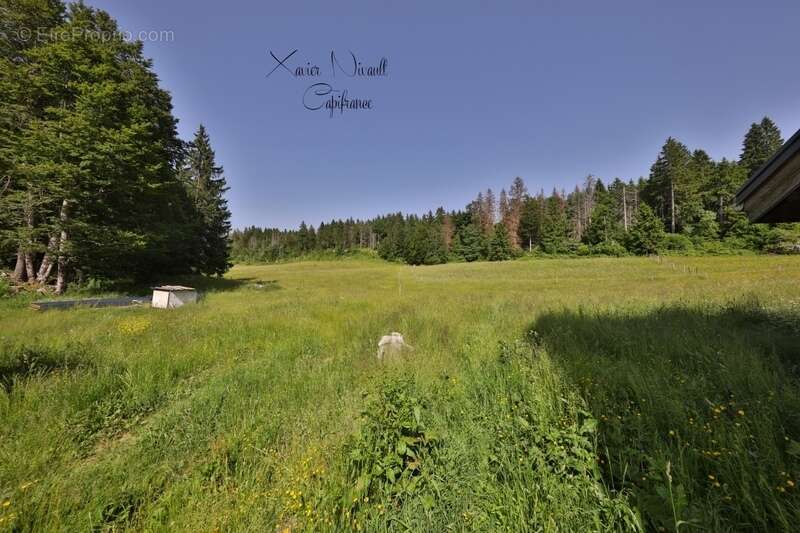 Maison à LE GRAND-ABERGEMENT