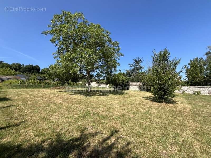 Terrain a batir 950 m² – vue pont de normandie – honfleur centre – viabilisé – rare à la vente - photo 6