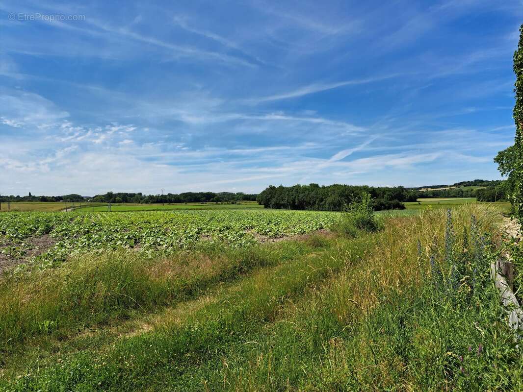 Charmante ferme rénovée avec 2 maisons d'amis - photo 15