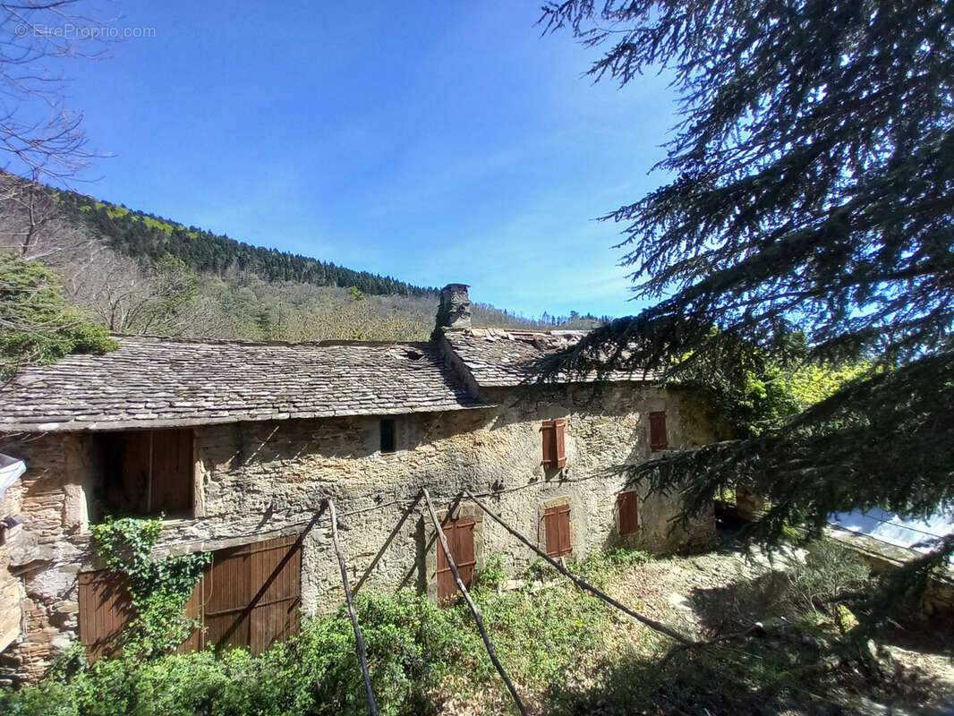 Unique ! ancienne Ferme à rénover sur 15Ha de patures et bois . - photo 4