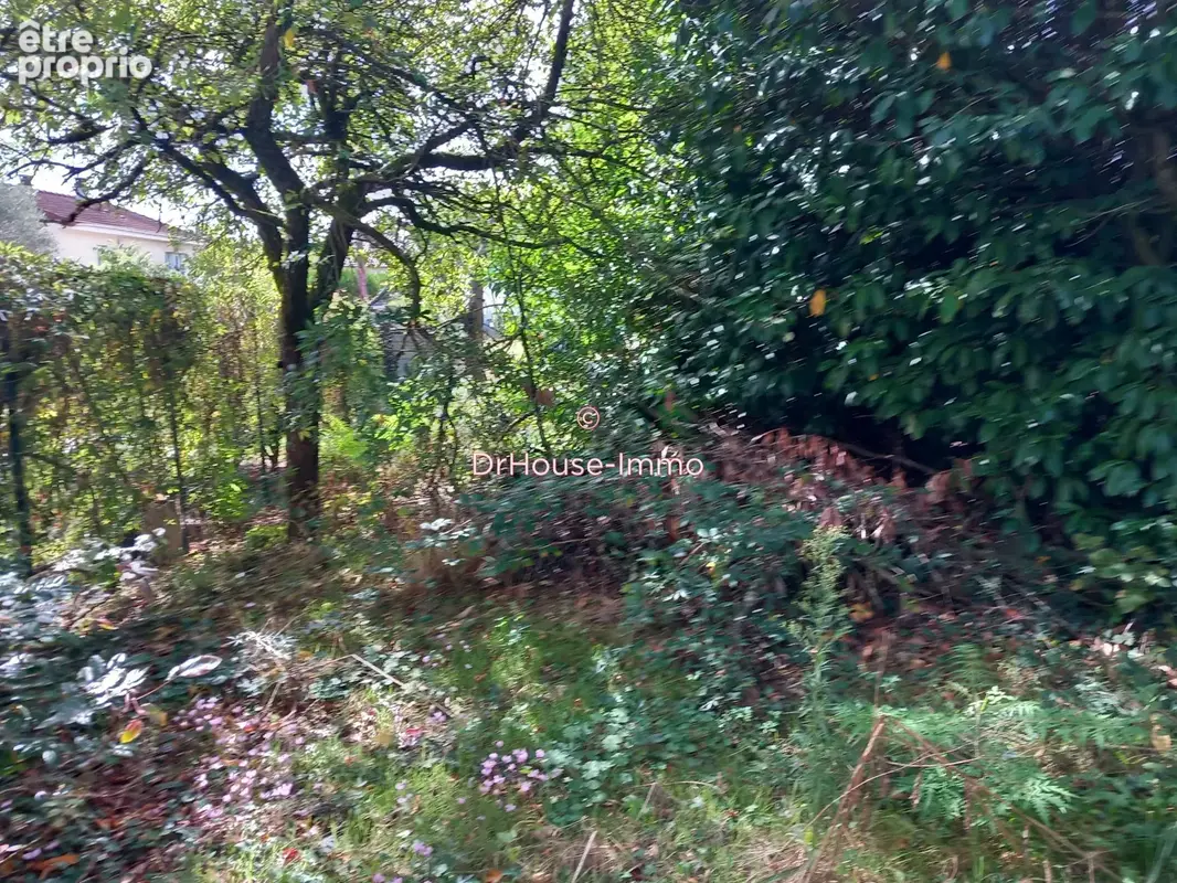 Terrain 900 m² à vendre à Verrieres-Le-Buisson (91370) - photo 10