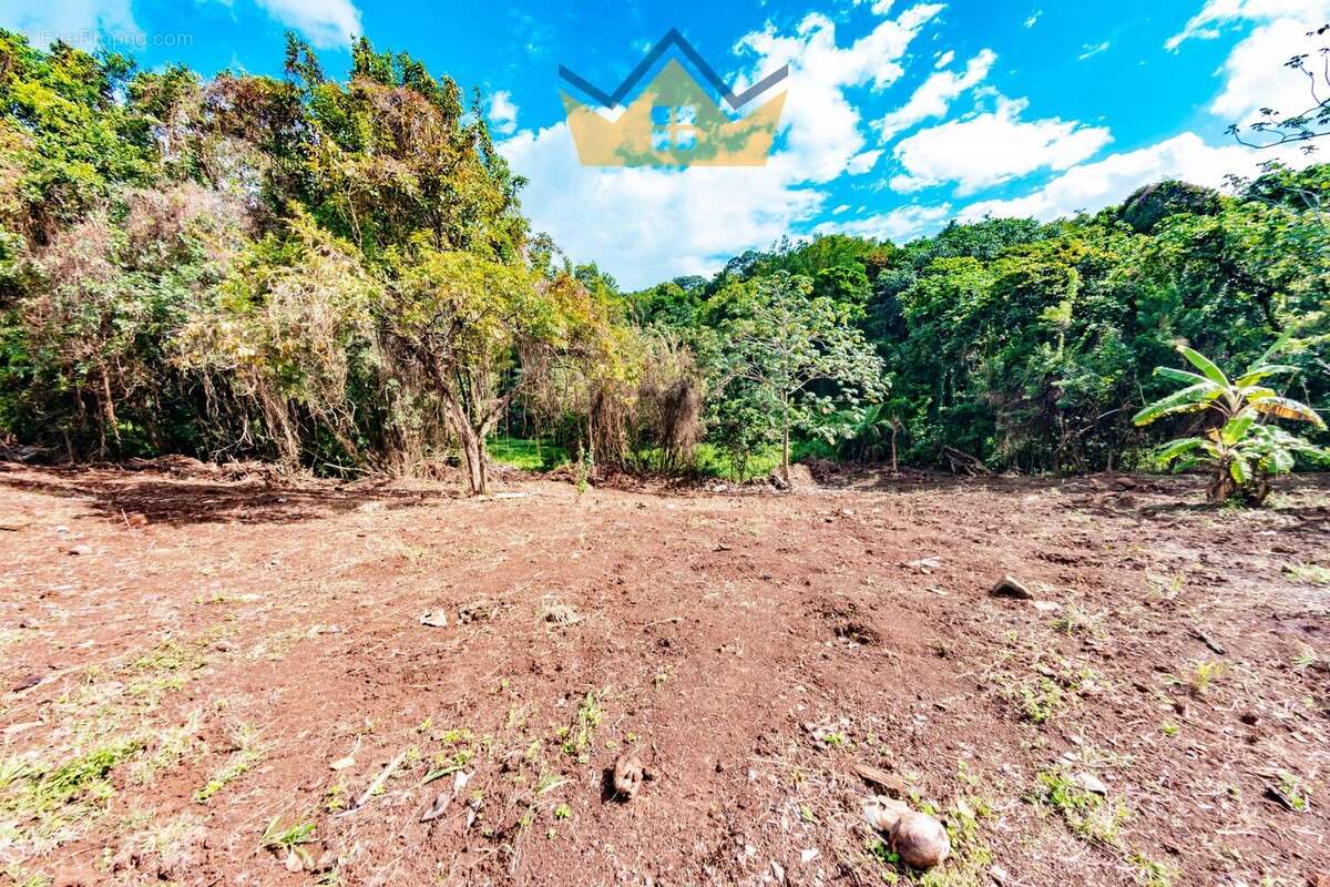 Terrain à SAINT-ESPRIT