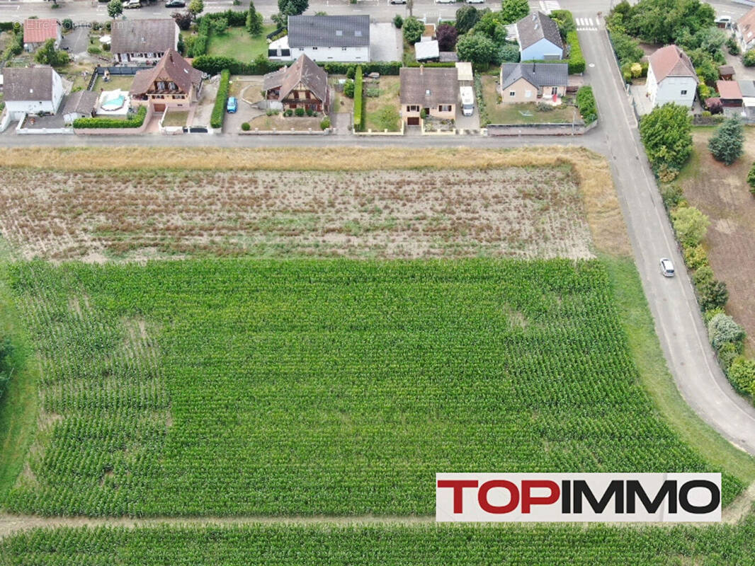 Terrain à ALGOLSHEIM