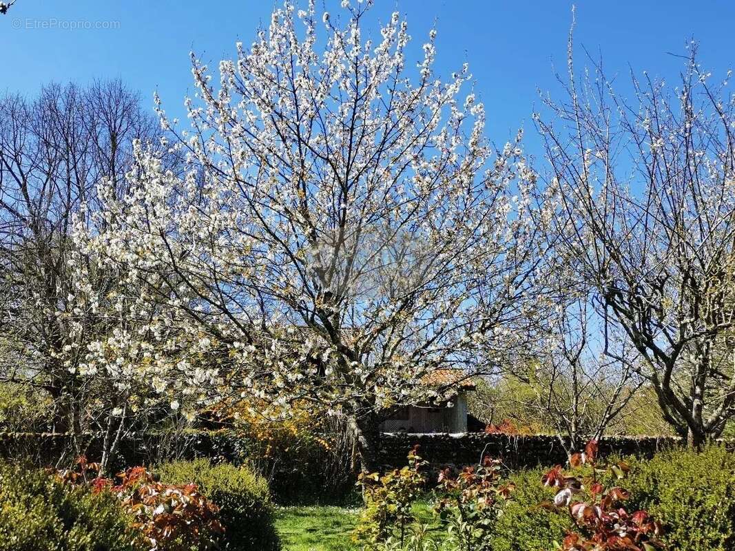 Maison à MAUBOURGUET