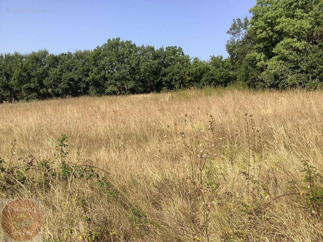 Très beau terrain constructible de 4895m² - photo 4