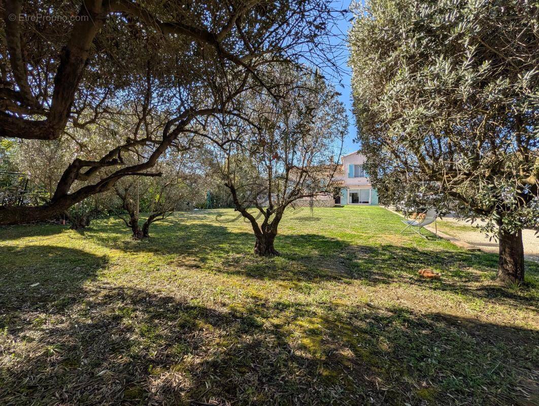 Maison à LA TOUR-D'AIGUES