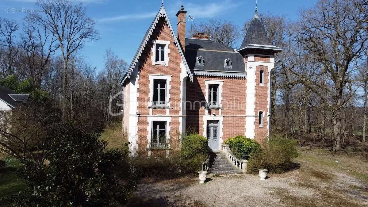 Maison à OUZOUER-SUR-TREZEE