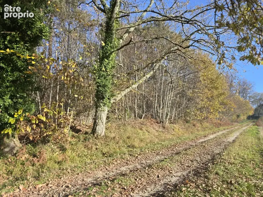 Terrain à VILLAMBLARD
