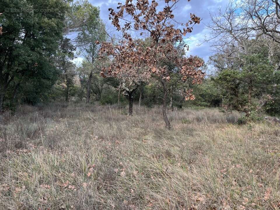 Terrain à GRIGNAN