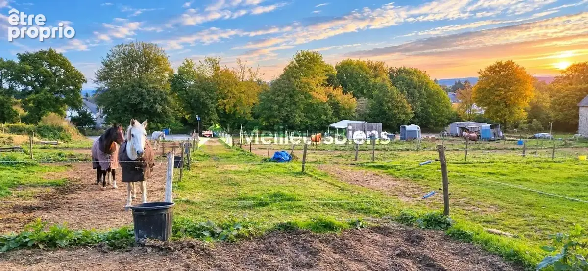 Magnifique propriété centre équestre de 1983 sur un terrain de 1,3 hectares - photo 18