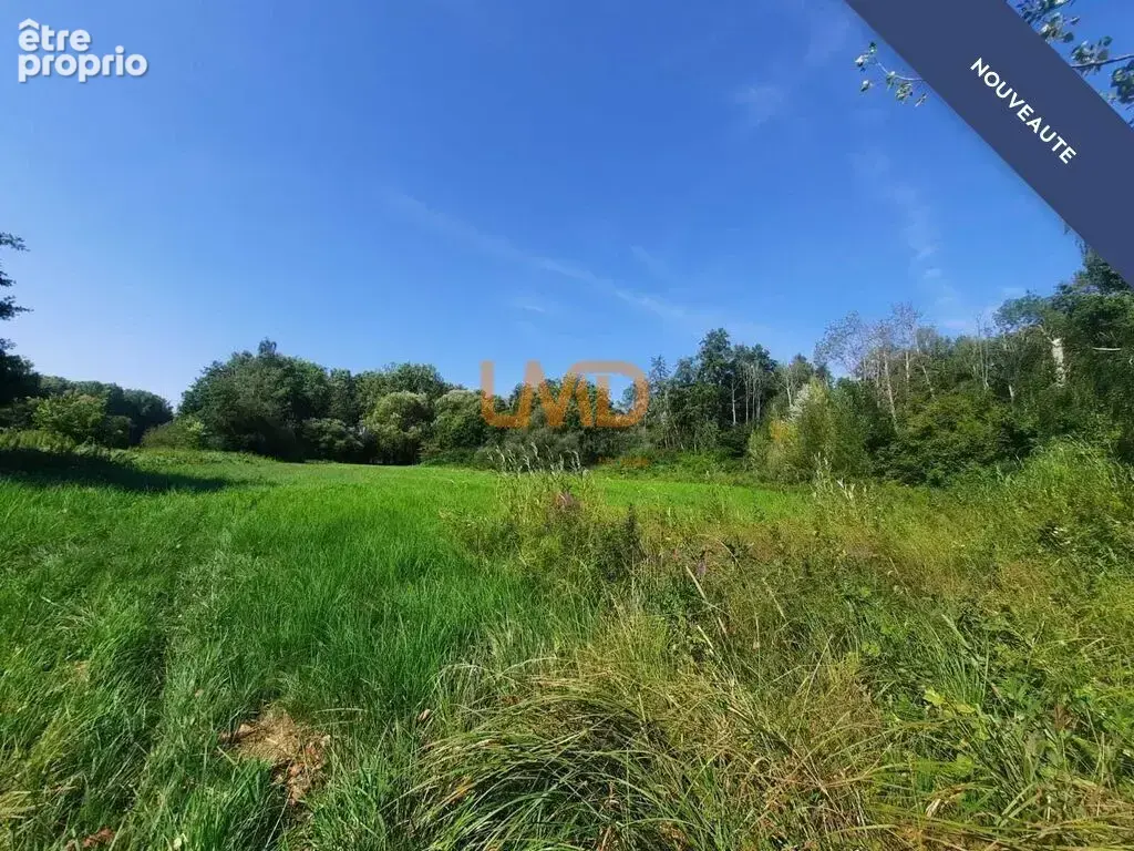 terrain bord de loir - Saint Hilaire La Gravelle - photo 5
