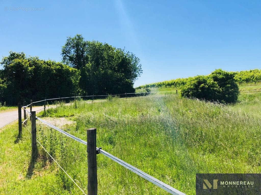 Maison à BARBEZIEUX-SAINT-HILAIRE