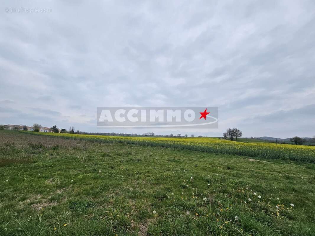 Terrain à MONTDRAGON