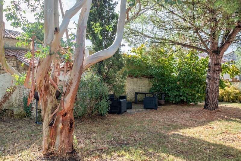 Maison à AIGREFEUILLE-D&#039;AUNIS