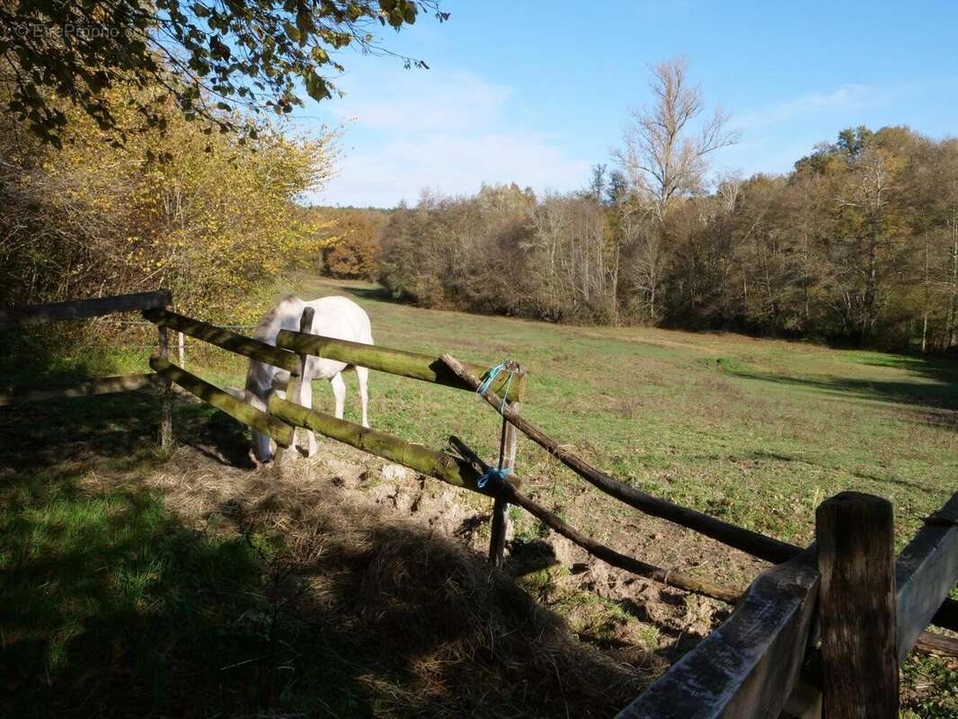 Photo 2 - Maison à GABARRET