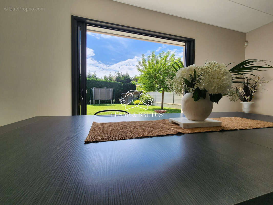 Maison 262 m² à Rillieux-La-Pape  - photo 7
