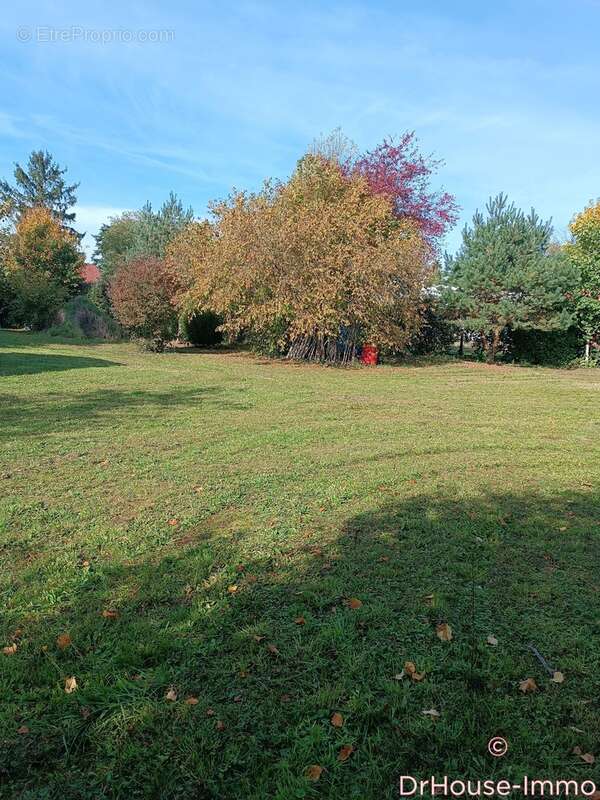 Terrain à CHATEAUROUX
