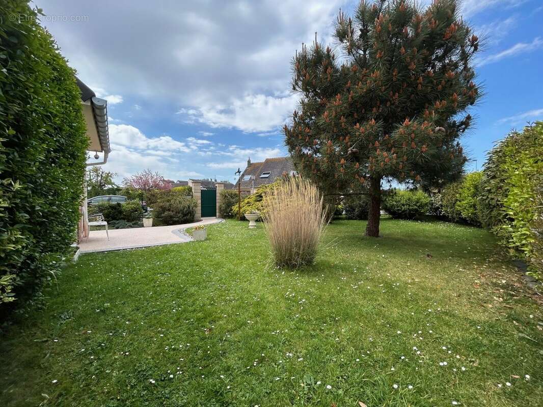 Maison à LE TREPORT