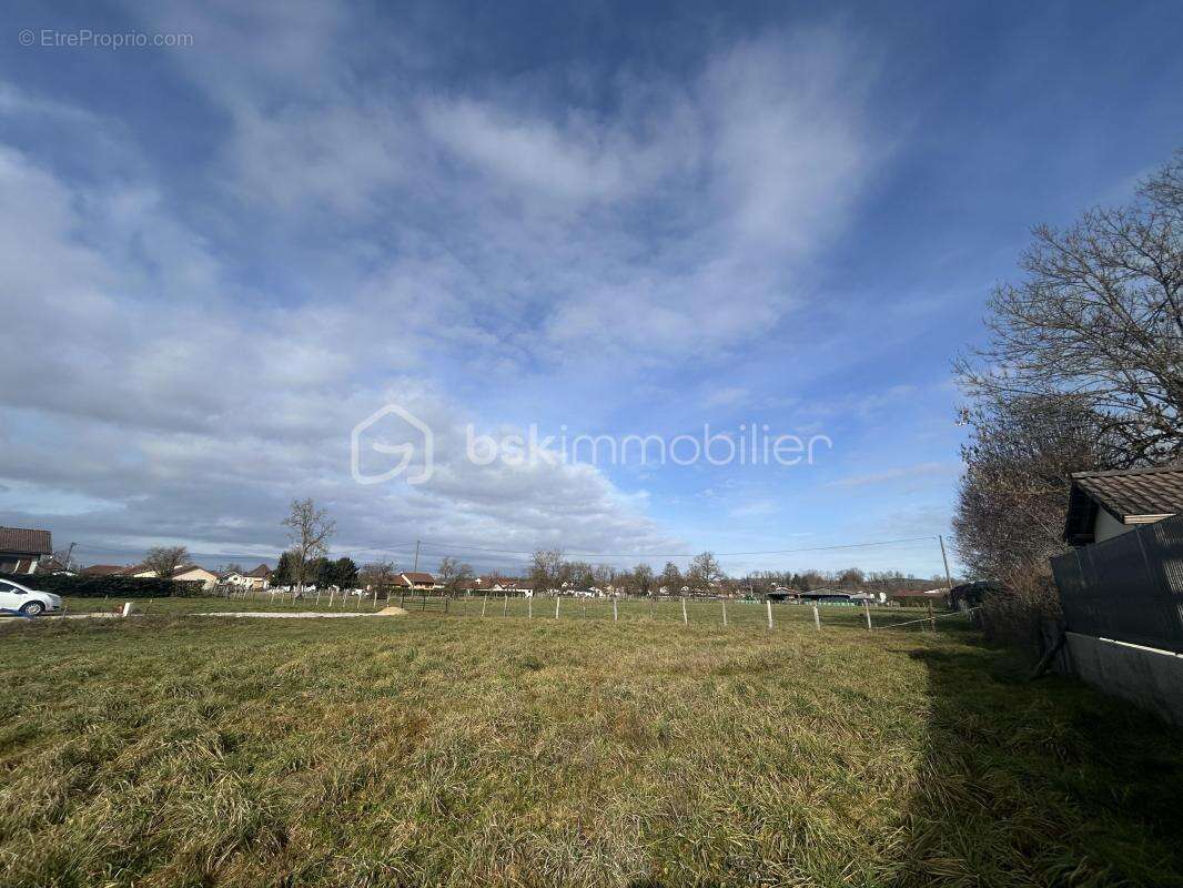 Terrain VIABILISÉ plat à bâtir d’environ 585 m² à Sillans (38590) – Dernier lot disponible - photo 4